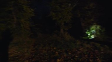 cinematic shot, the awakening of a creepy zombie woman, runs out of the dark and attacks. horror. halloween. real evil