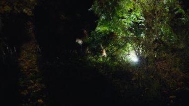 Sinematik çekim, ürpertici bir zombi kadının uyanışı, karanlıktan çıkıp saldırır. Korkunç. Cadılar Bayramı. Gerçek şeytan.