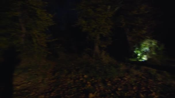 Cinematic Shot Awakening Creepy Zombie Woman Runs Out Dark Attacks — Stockvideo
