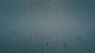 Krivoy Rog, Ukrayna - 05.07.2022: BMW 3 serisi, Alman arabası, gün batımında otoyolda giden lüks spor arabası, yakın çekim