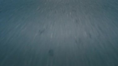 Krivoy Rog, Ukrayna - 05.07.2022: BMW 3 serisi, Alman arabası, gün batımında otoyolda giden lüks spor arabası, yakın çekim