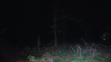 Sinematik çekim, bir adam karanlık bir ormanda yürür, ürpertici bir zombi kadın karanlıktan kaçar ve saldırır. Korkunç. Cadılar Bayramı. Gerçek şeytan..