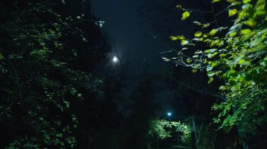 Sinematik çerçeve, gece gökyüzü ay ışığı, korku. Cadılar Bayramı. Gerçek şeytan..