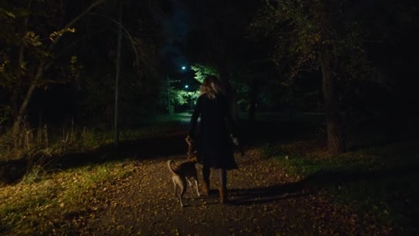 Cinematic shot, creepy zombie woman with dog and hammer walks in the night park. horror. halloween. real evil. — Stockvideo