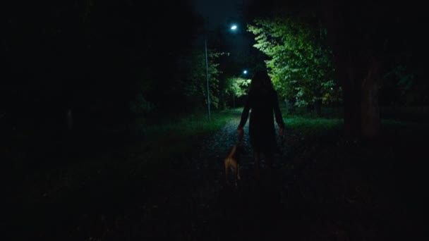 Filmowe ujęcie, przerażające zombie kobieta z psem i młotkiem spacery w parku nocnym. przerażenie. halloween. prawdziwe zło. — Wideo stockowe