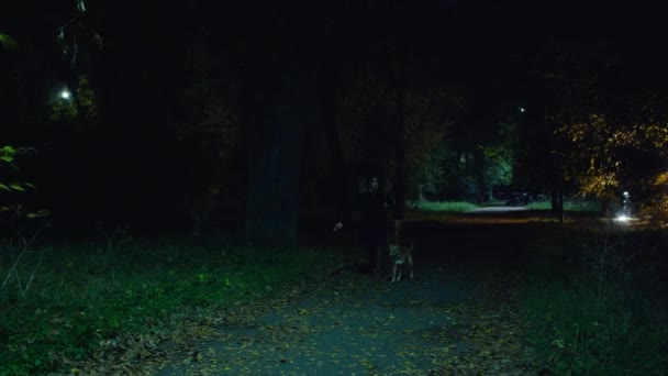 Filmische Aufnahme, gruselige Zombie-Frau mit Hund und Hammer spaziert im Nachtpark. horror. halloween. Das wirkliche Böse. — Stockvideo