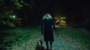 cinematic shot, creepy zombie woman with dog and hammer walks in the night park. horror. halloween. real evil.
