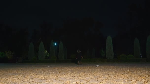 Cinematic shot, creepy zombie woman with hammer walks in the night park. horror. halloween. real evil. — Wideo stockowe