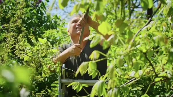 Farmer Cuts Trees Garden Agriculture Agronomist Collective Farm Worker Works — Vídeo de stock