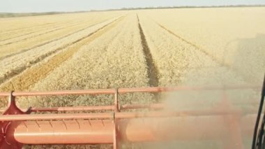 biçerdöver buğday toplar. Hasat, tarım endüstrisi, tarlada gün batımı