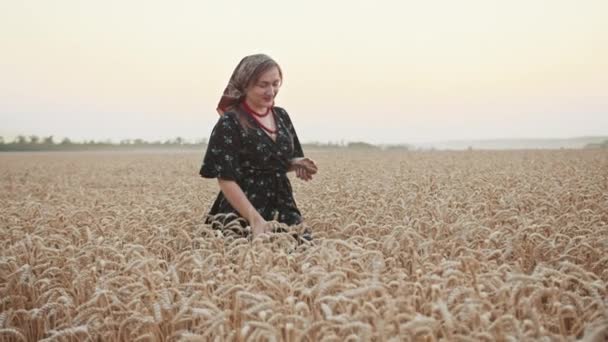 Una Niña Campo Trigo Camina Por Campo Con Pedazo Pan — Vídeo de stock