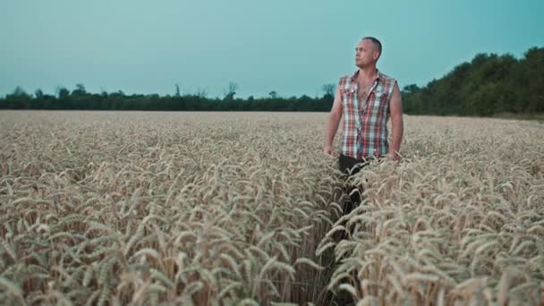 Ένας Αγρότης Στέκεται Στο Χωράφι Σκουπίζει Τον Ιδρώτα Μετά Συγκομιδή — Αρχείο Βίντεο