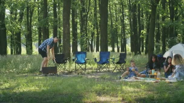 Happy Company Mom Dad Son Daughter Friends Having Picnic Forest — Stock Video