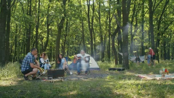 Happy Company Mom Dad Son Daughter Friends Having Picnic Forest — Stock Video