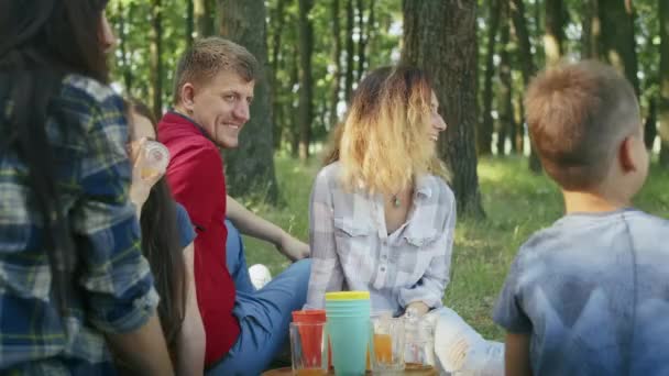 Happy Company Mom Dad Son Daughter Friends Having Picnic Forest — Stock Video