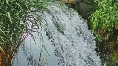 Dağlarda güzel bir şelale, selden dolayı, ağaçlar taştı. Güzel dere. Sel basmış ağaçlar. 4k 60 fps sinema.