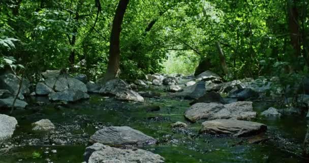 Dağlarda Güzel Bir Şelale Selden Dolayı Ağaçlar Taştı Güzel Dere — Stok video