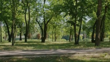 Neşeli kız yazın tadını çıkarıyor ve park ve şehir sokaklarında scooter sürüyor.