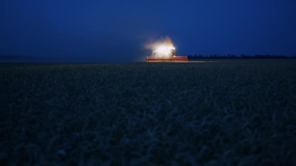 Night Harvesting Combine Ukrainian Combine Harvests Wheat Farmers Ukraine Grain — Vídeos de Stock