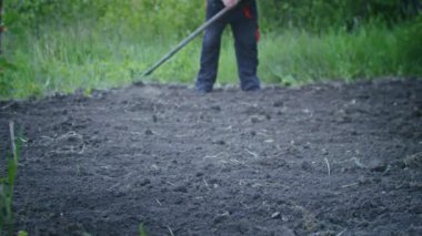 Çiftçi bahçede bir tırmıkla çalışıyor. Tarım. Toplu çiftlikte tarımcı. İşçi çiftlikte çalışıyor. Tarım konsepti. İş Çiftliği, Bahar.