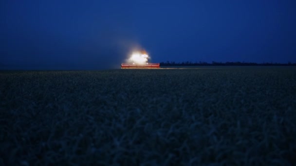 Night Harvesting Combine Ukrainian Combine Harvests Wheat Farmers Ukraine Grain — 비디오