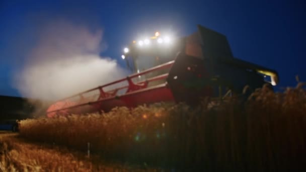 Нічне Збирання Врожаю Комбайном Українською Зерновою Пшеницею Фермерами Україні Експорт — стокове відео