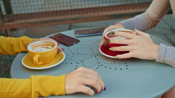 Duas Mulheres Felizes Passam Tempo Juntas Café Restaurante Ambiente Leve — Vídeo de Stock