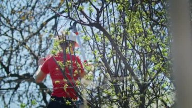 Genç kadın çiftçi bahçedeki ağaçları kesiyor. Tarım. Toplu çiftlikte tarımcı. İşçi çiftlikte çalışıyor. tarım kavramı. iş çiftliği.