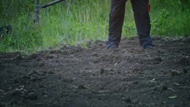 Çiftçi bahçede bir tırmıkla çalışıyor. Tarım. Toplu çiftlikte tarımcı. İşçi çiftlikte çalışıyor. Tarım konsepti. İş Çiftliği, Bahar.