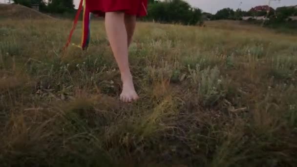 Happy Young Woman Enjoying Sunset Wearing Traditional Ukrainian Clothes Lifestyle — Video
