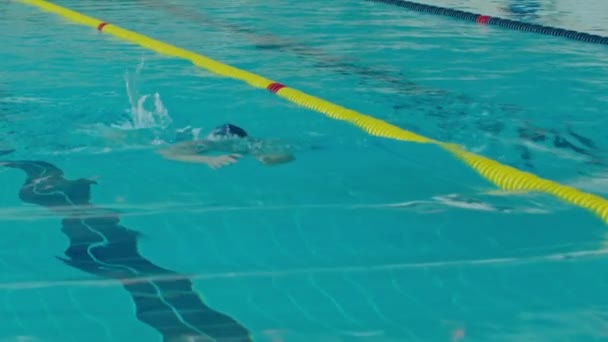 Krivoy Rog Ουκρανία 2021 Κολυμβητής Κολυμπά Στην Πισίνα Κολυμβητές Ανταγωνίζονται — Αρχείο Βίντεο