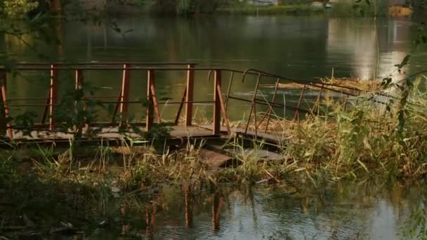 Das Hochwasser Des Flusses Überflutete Den Park Und Die Umliegenden — Stockvideo