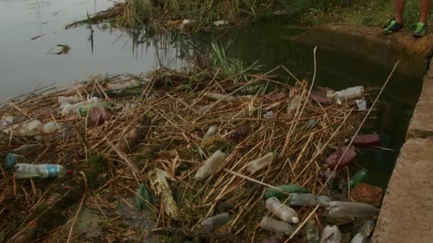 Alluvione Del Fiume Inondato Parco Case Vicine Conseguenze Della Guerra — Video Stock