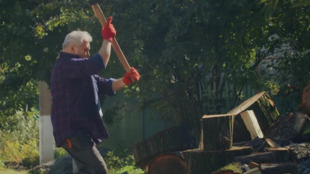 收集木柴过冬 成年人用斧头砍柴 乌克兰的冬天就要到了 — 图库视频影像