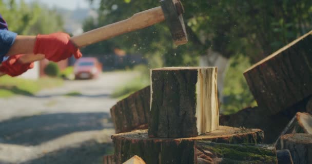 Kış Için Odun Topluyorum Yetişkin Bir Adam Baltayla Odun Kesiyor — Stok video