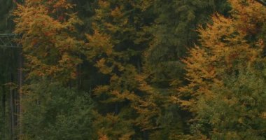 Bukovel kayak merkezinin manzarası, güzel sonbahar ağaçları ve dağlar, uzaktaki evler.