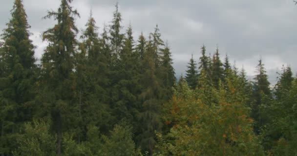 Uitzicht Het Skigebied Van Bukovel Prachtige Herfstbomen Bergen Huizen Verte — Stockvideo