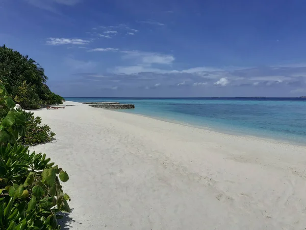 Raj tropikalna wyspa z białym piaskiem plaży w pobliżu turkusowego oceanu. Wakacje na Malediwach. — Zdjęcie stockowe
