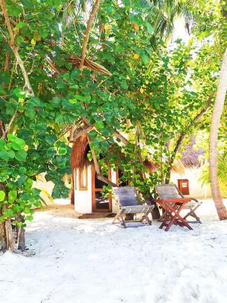 Ein Bungalow inmitten tropischer Bäume. Sommerurlaub auf einer paradiesischen Insel. Malediven. — Stockfoto