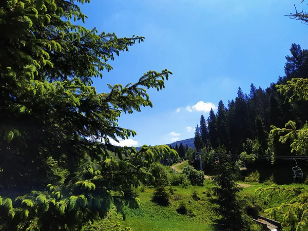 Un paysage de montagne avec des sapins à feuilles persistantes et un ciel bleu. Chaise élévatrice de travail dans les montagnes en été. — Photo