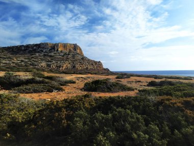 Cape Greco, Ayia Napa yakınlarında. Kıbrıs, Akdeniz kıyısı. Cavo Greco yakınlarında yeşil çalıları olan kahverengi kırmızı toprak..
