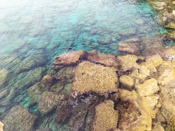 Felsiger Meeresboden mit klarem, blauem Wasser. Lagre Steine im Wasser. Mittelmeerküste bei Ayia Napa, Zypern. — Stockfoto