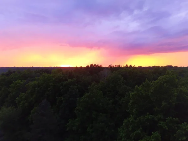 森の木々の上に明るいオレンジ色の夕日。夕方の空に紫色の雲。自然背景. — ストック写真