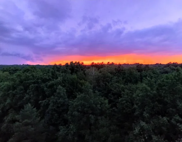 Bright orange sunset over the treetops in the forest. Natural background. Violet clouds in the evening sky. — Stock Photo, Image