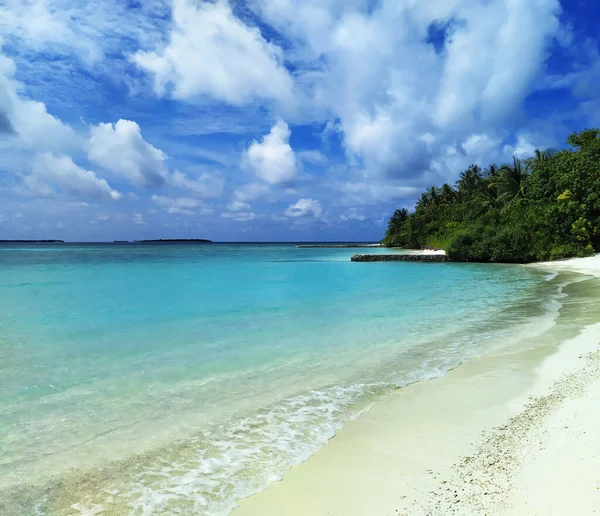 Malediwy, opustoszała plaża z białym piaskiem i drzewami w pobliżu turkusowego oceanu. — Zdjęcie stockowe