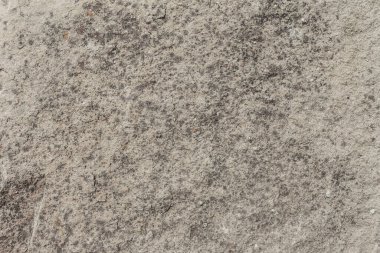 Büyük, yosunlu bir kaya. Bej renk paletinde soyut organik arkaplan. Doğal taş dokusu.