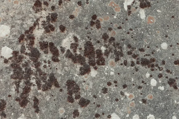 Натуральна Кам Яна Текстура Крупним Планом Великий Старий Камінь Покритий — стокове фото