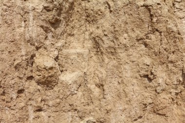 Kumlu toprak yakın plan, soyut arkaplan. Deniz kıyısındaki toprağın doğal dokusu. Tasarımlarınıza kolayca derinlik ve organik doku ekleyin.