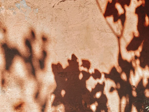 Summer shadows and light on the plaster wall. Painted wall texture with plant floral shadows on it. A brown red background with motion blur effect. Minimal boho style.