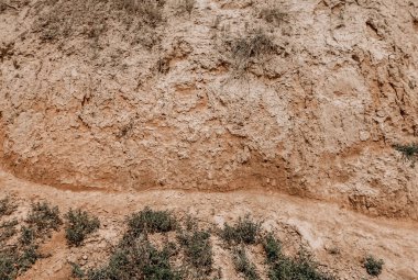 The natural texture of the ground on the sea shore. Sandy clay soil with grass close up. Abstract background. Easily add depth and organic texture to your designs.